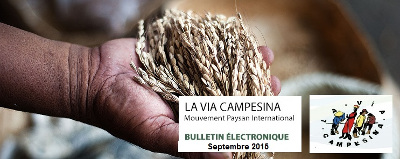 Bulletin électronique de la Via Campesina – Septembre-Octobre  2015